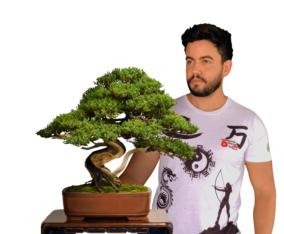 Bonsai HeroB Bonsai HeroB